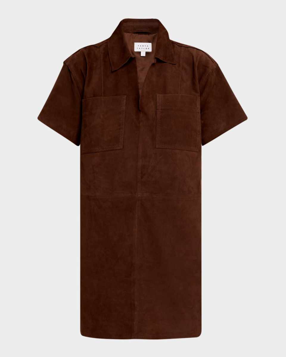 Tabby Suede Mini Dress